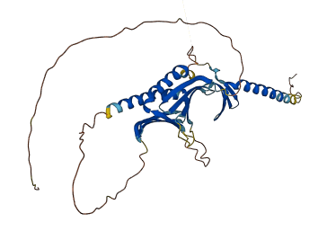 PURG 3D structure
