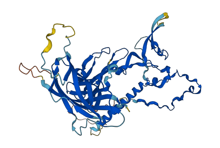 DCTN4 3D structure