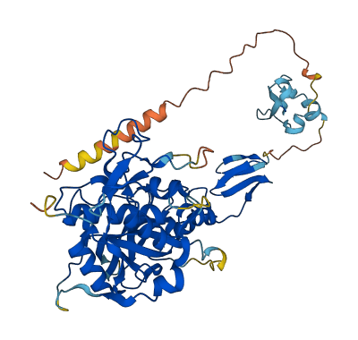 TINAG 3D structure