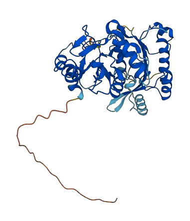 DNMT3L 3D structure