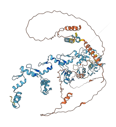 ZNF229 3D structure