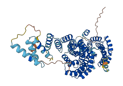 CDC23 3D structure