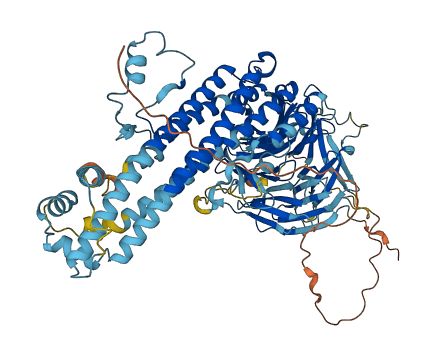 ANAPC4 3D structure