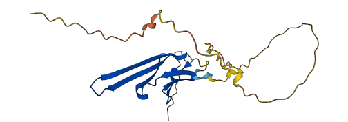 HSPB8 3D structure