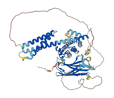 GGA2 3D structure