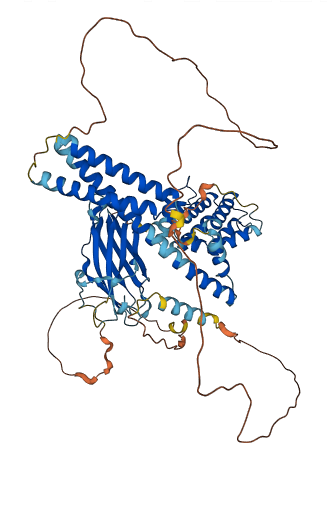 GGA1 3D structure