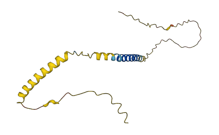 C3orf18 3D structure