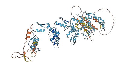 ZNF225 3D structure