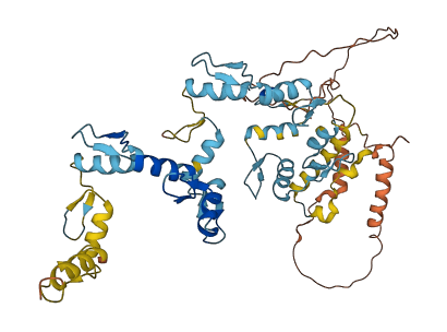 ZNF223 3D structure