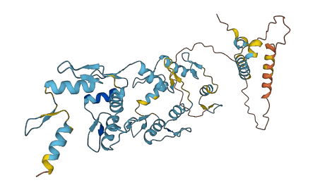 ZNF222 3D structure