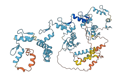 ZNF221 3D structure
