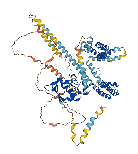 KCND3 3D structure