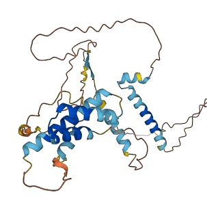 TMEM59L 3D structure
