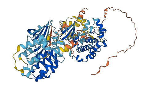 RPS6KA6 3D structure