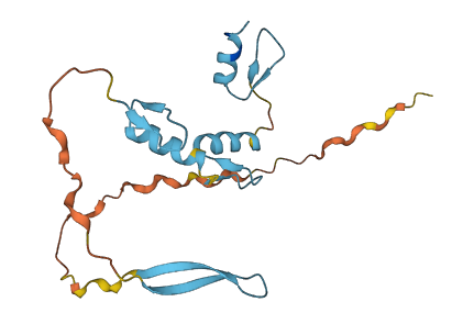 ZNF580 3D structure