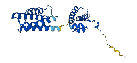 VPS28 3D structure
