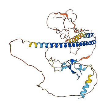 ING1 3D structure