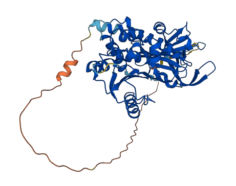 SERPINA10 3D structure