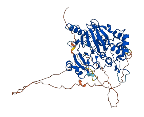 DBR1 3D structure