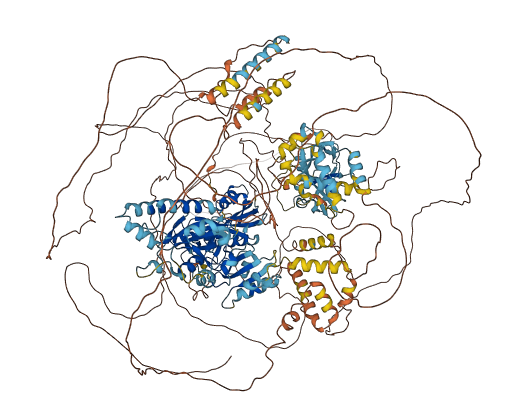 TASOR 3D structure
