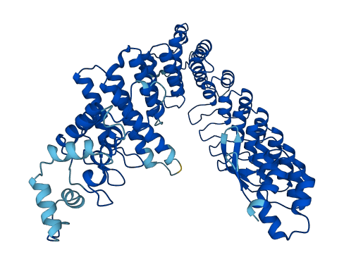 FEM1B 3D structure