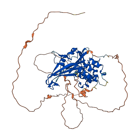 USP21 3D structure
