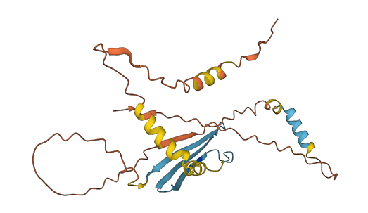 DKKL1 3D structure