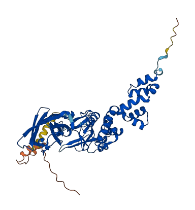 FBXO3 3D structure