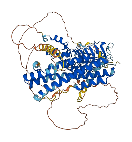 FBXL5 3D structure
