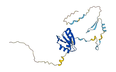 RCAN3 3D structure