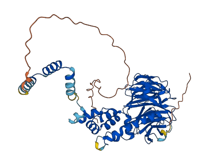FBXW11 3D structure