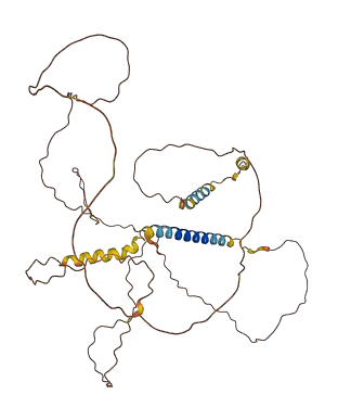 AJAP1 3D structure