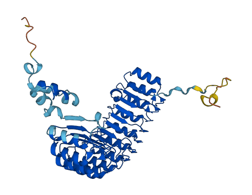 FBXL2 3D structure