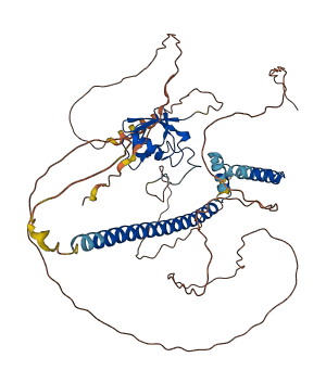 GMEB2 3D structure