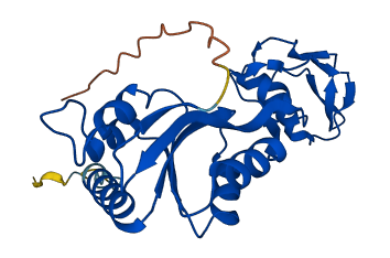 MRTO4 3D structure