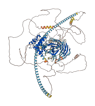 TNIK 3D structure