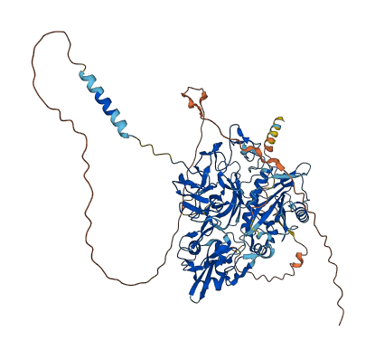ADAM29 3D structure