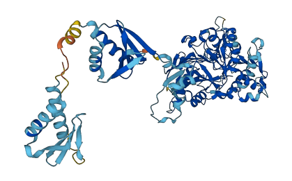 CPSF3 3D structure
