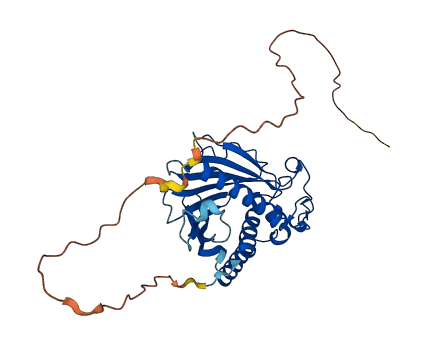 PITPNC1 3D structure