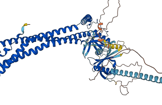 APPL1 3D structure