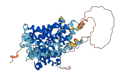 SLC13A4 3D structure