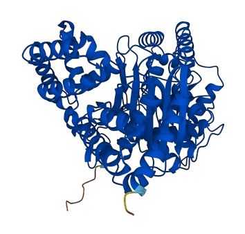 CROT 3D structure