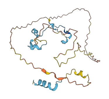 CDC42EP3 3D structure
