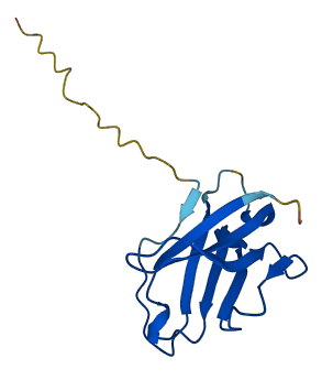 VPREB3 3D structure