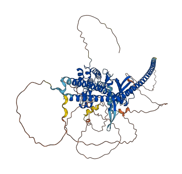 TLK1 3D structure