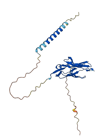 PILRB 3D structure