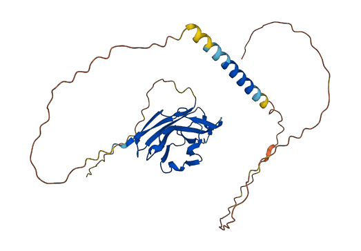 PILRA 3D structure