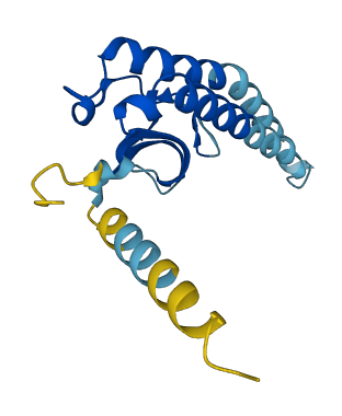 CHIC2 3D structure