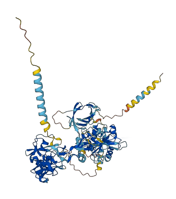 ADAM21 3D structure
