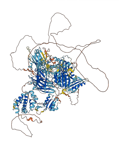 PARP4 3D structure